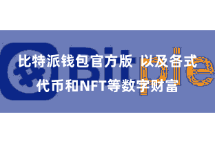 比特派钱包官方版  以及各式代币和NFT等数字财富